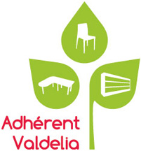 2013 - Logo adhérent Valdelia